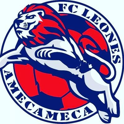 Wappen Leones FC Amecameca  96153