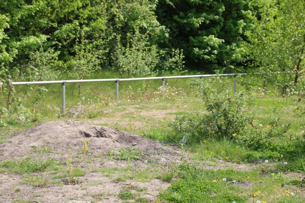 Sportpark Herbertskaul Platz 3 (alt) - Frechen