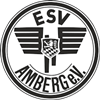 Wappen Eisenbahner-SV Amberg 1949