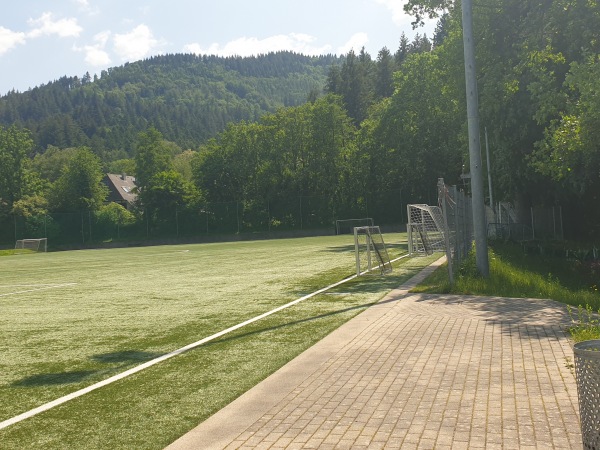 Fußballschule am Möslestadion - Freiburg/Breisgau