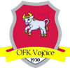 Wappen OFK Vojčice  100078