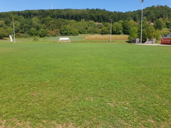 Rauhenberg Stadion Nebenplatz - Gailingen/Hochrhein