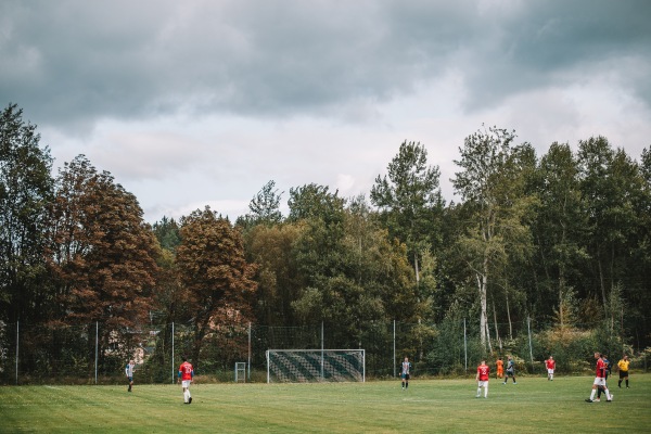 Schallerbachsportplatz - Auerbach/Vogtland-Brunn