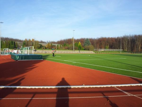 Moorsberg-Stadion - Höhr-Grenzhausen