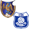 Wappen SG Falkenstein II / Arrach