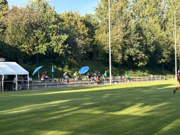 Pfrimmstadion - Albisheim/Pfrimm