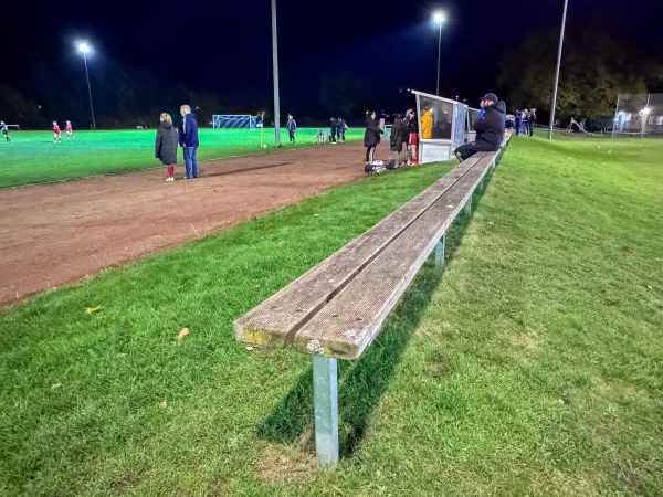 Blau-Weiß-Platz im Sportpark Hildesheim - Hildesheim