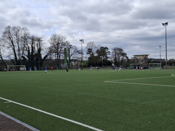 TSG-Sportanlage Buchenloch Platz 3 - Kaiserslautern-Lämmchesberg
