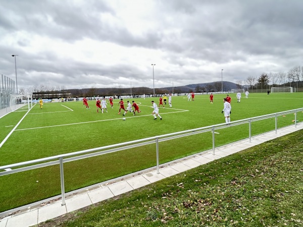 Sportanlage Palmenstein Platz 2 - Hüffelsheim