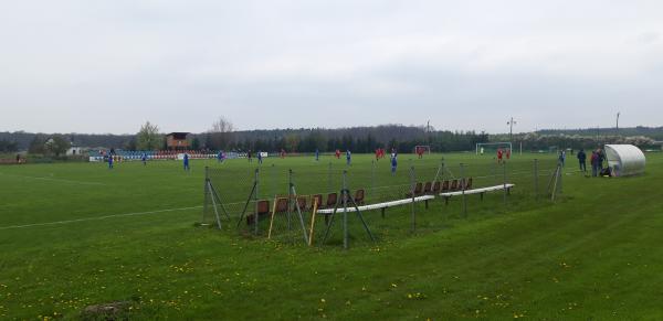 Stadion w Szczedrzykowicach - Prochowice-Szczedrzykowice
