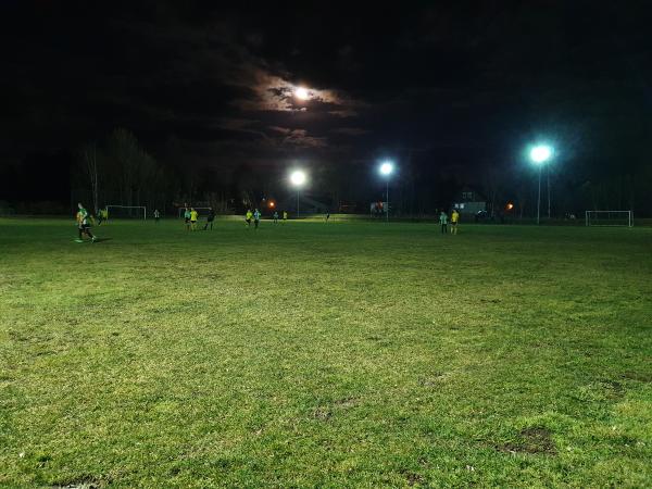 Sportplatz Schlachthofstraße - Reichenbach/Vogtland