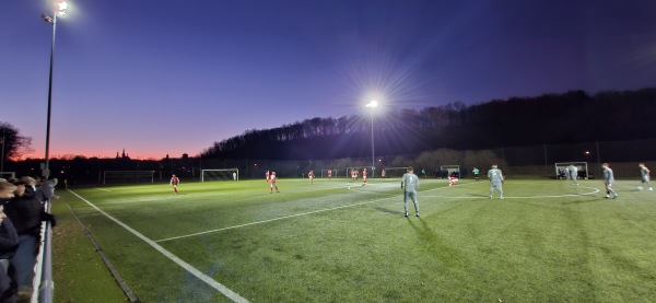 Sportanlage Freiheitsplatz von 1848 Platz 2 - Waldenburg