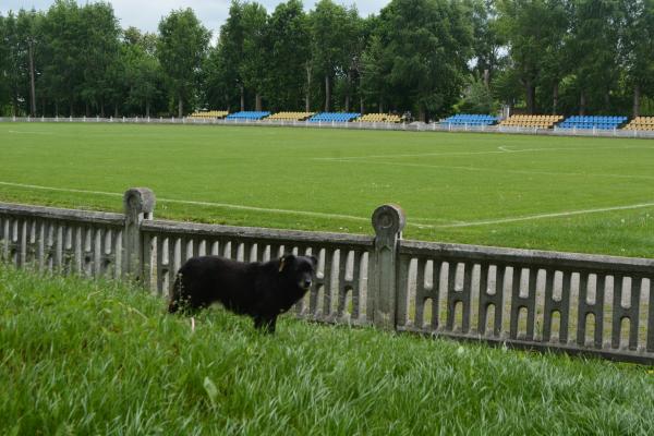 Stadion Lokomotyv - Koziatyn