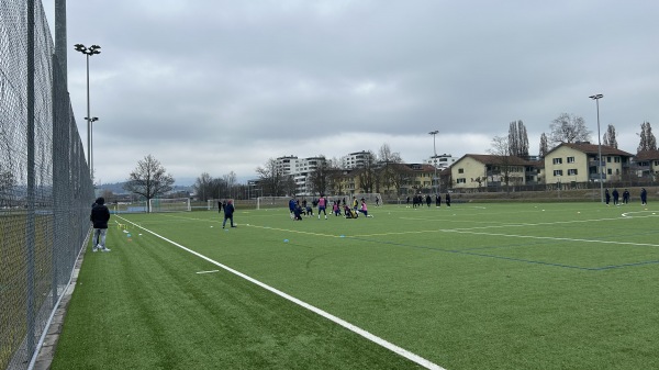 Sportanlagen Herti Allmend Platz 3 - Zug