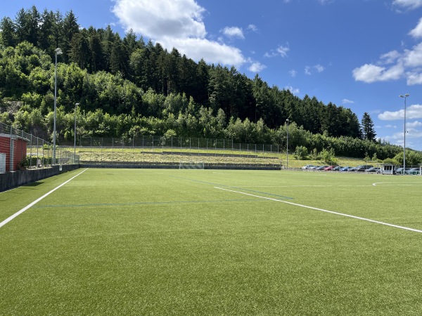 Sportanlage Waldstraße Platz 2 - Lautenbach/Baden