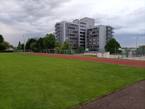 Nachwuchsleistungszentrum SV Horn Hauptplatz - Hollabrunn
