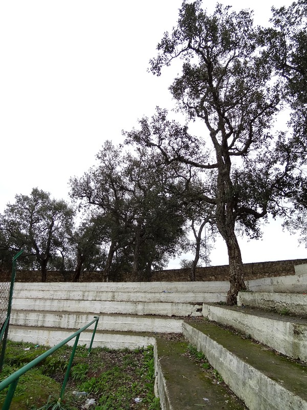 Stade Municipal de Benslimane - Benslimane