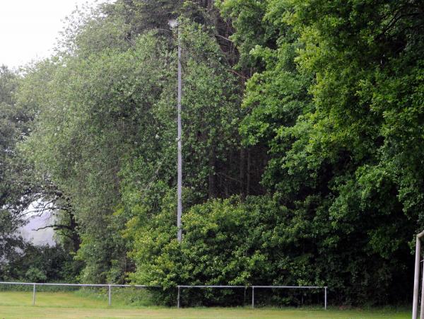 Sportplatz Dominikanerweg - Cappeln (Oldenburg)-Schwichteler