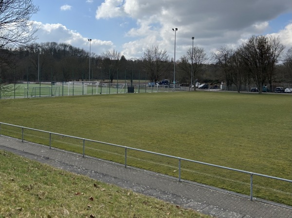 Sportzentrum Wasen Platz 4 - Freiberg/Neckar
