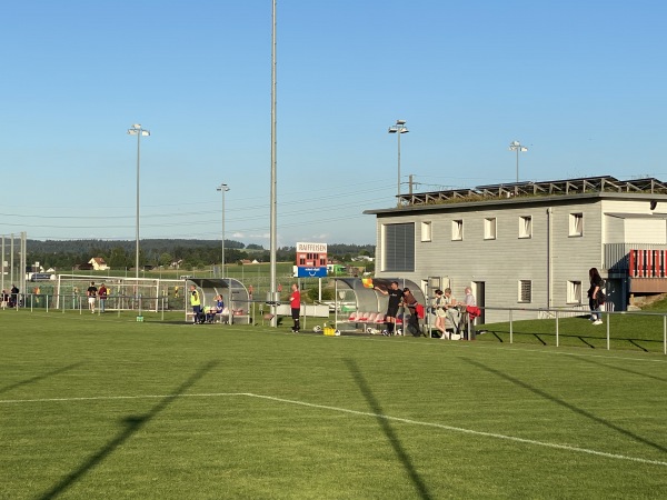 Sportanlage Rolli Platz 2 - Seuzach
