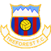 Wappen Treforest FC
