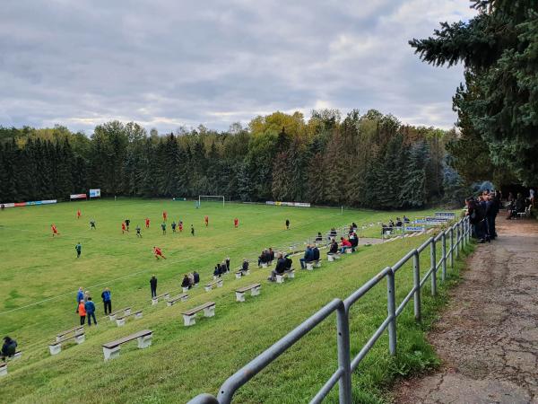 Waldstadion - Reinsdorf/Sachsen-Vielau