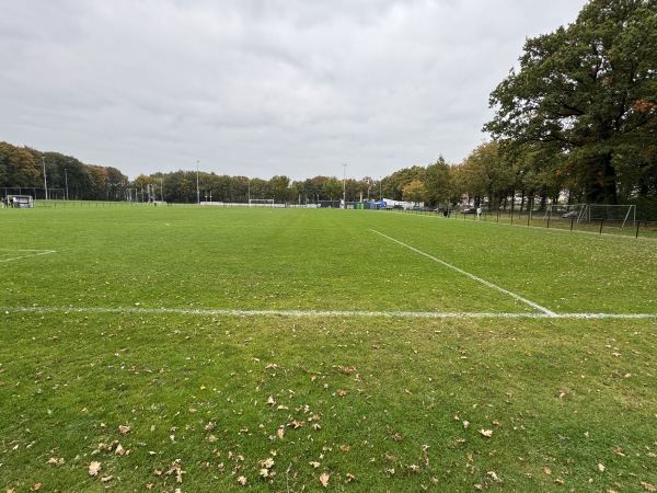 Sportpark Wesselerbrink Midden veld B - Enschede