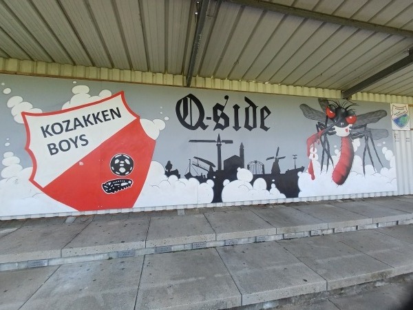 Sportpark De Zwaaier - Werkendam