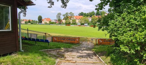 Stadion MOSiR w Elblągu - Elbląg