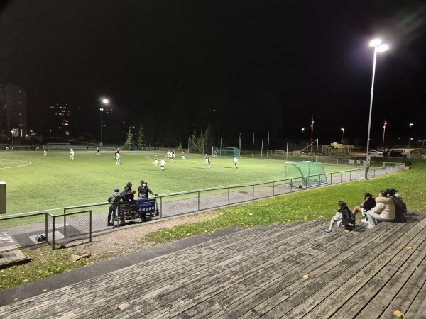 Jesperudjordet kunstgress - Oslo