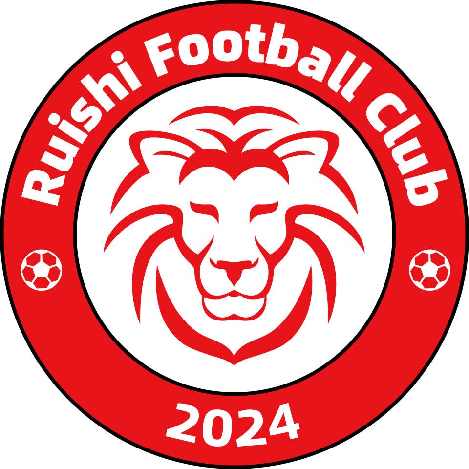 Wappen Ganzhou Ruishi FC