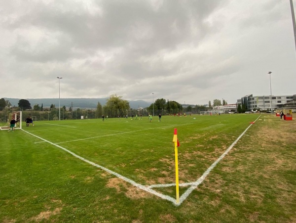 Sportplatz Stausee - Neuenhof