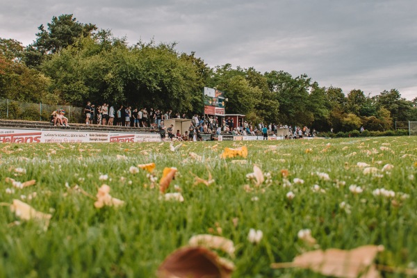 Waldsportplatz - Darmstadt-Heimstättensiedlung