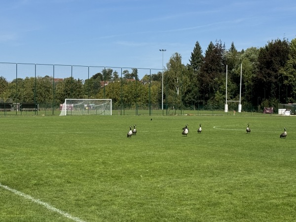 Stade Communal de Auderghem - Auderghem