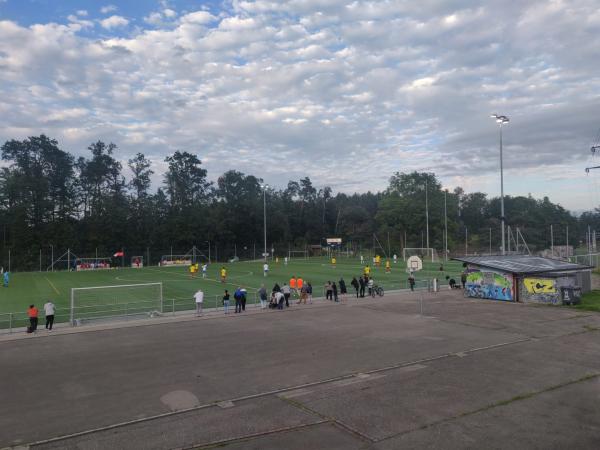 Sportanlage Fronwald Platz 1 - Zürich
