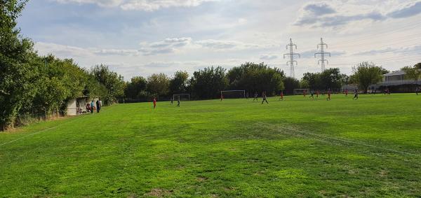 Stadionul Olimpic - București (Bucharest)
