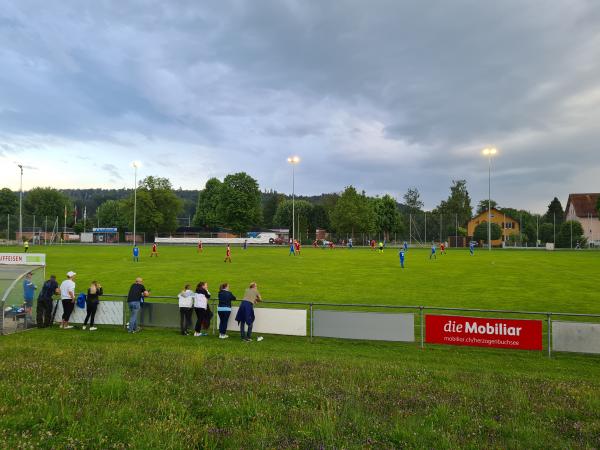 Sportplatz Staadfeld - Wangen an der Aare