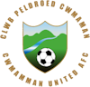 Wappen Cwmamman United AFC