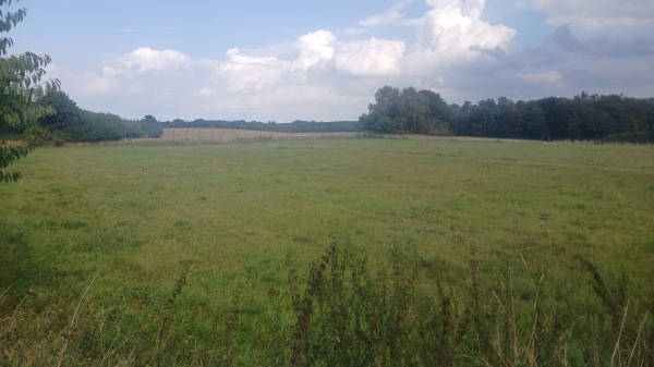 Sportplatz Lindhöft - Noer-Lindhöft