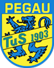 Wappen TuS Pegau 1903 diverse