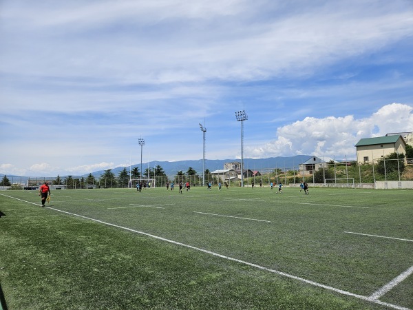 Mukhianis Sportuli Kompleksi veli 2 - Tbilisi