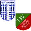 Wappen SG Trennfeld II / Homburg II (Ground A)