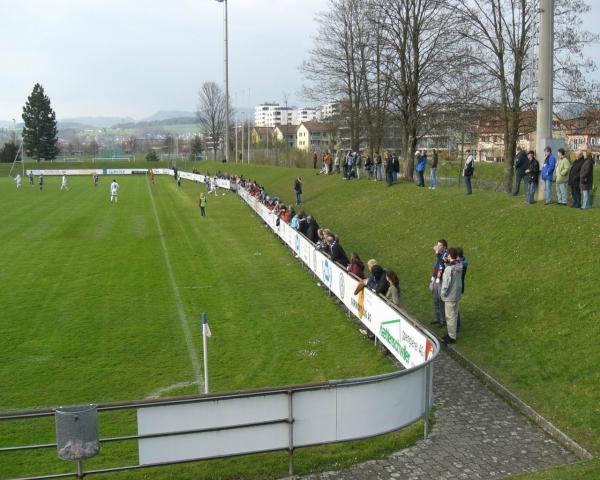 Stadion Herti Allmend - Zug