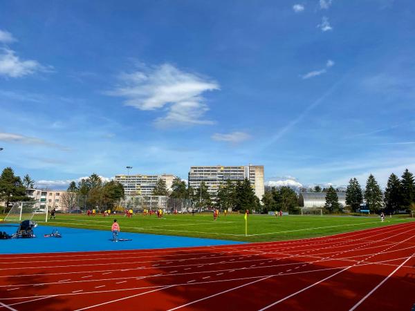 Sportanlage Fronwald Platz 3 - Zürich