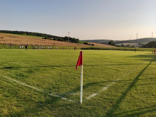 Sportplatz Ringstraße - Schaafheim-Radheim