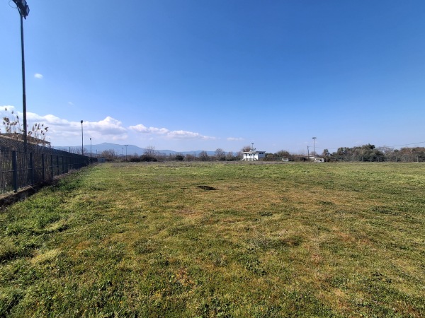 Gipedo Nikodimou - Nikomidino