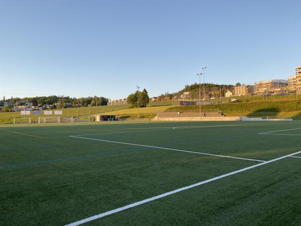 Sportplatz Sürenloh Platz 2 - Uitikon