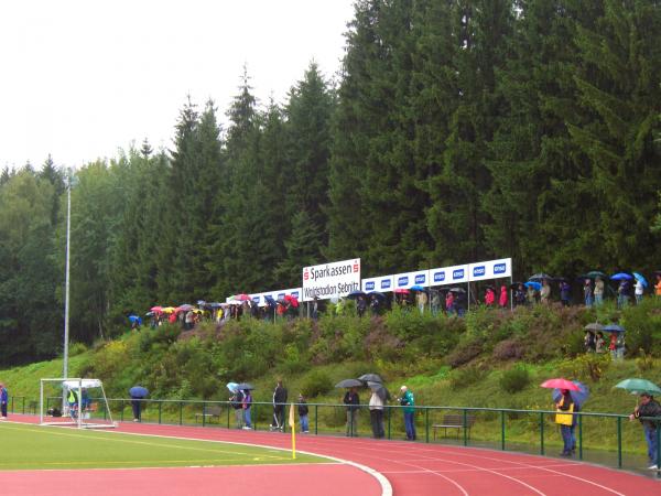 Sparkassen Waldstadion - Sebnitz