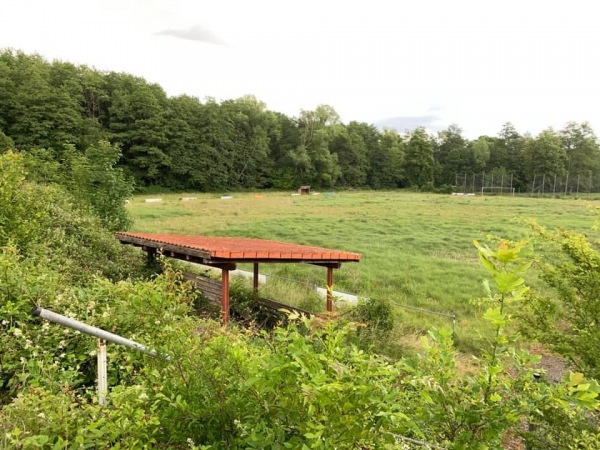 Aalbachstadion am Schwimmbad - Kusel-Diedelkopf