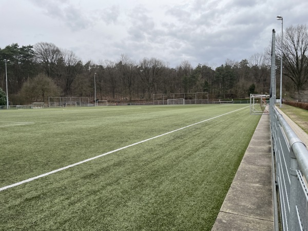 Sportpark De Pinkenberg veld 4-DVOV / Veluwezoom - Rozendaal